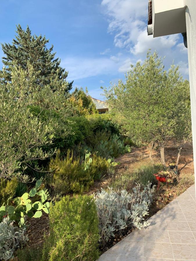 Apartman Ruza Brzac Exterior foto